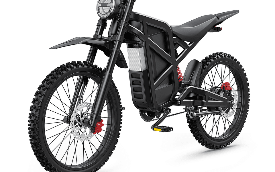 BM19 (ZX3)