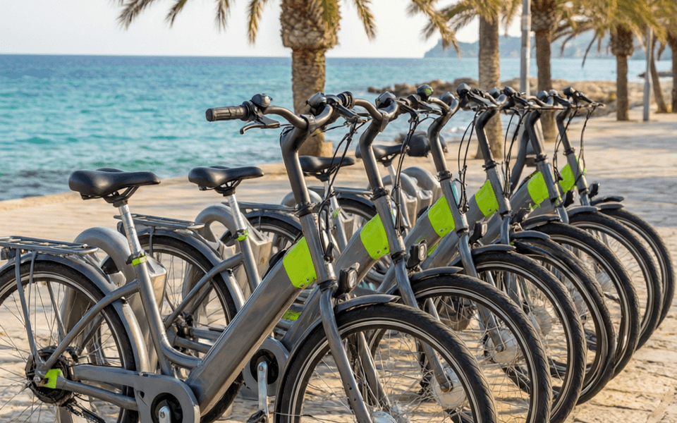 Mallorca Coastal Tours